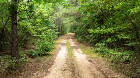 6671 Snapdragon Rd, Ore City, TX 75683 photo 5