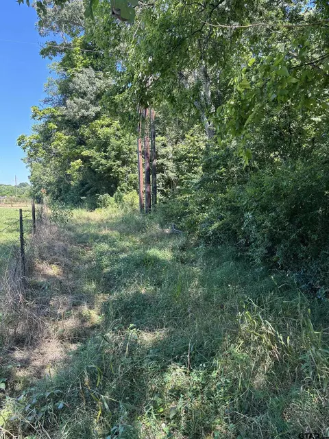 4576 Cherokee Trce, Gilmer, TX 75644 photo 2