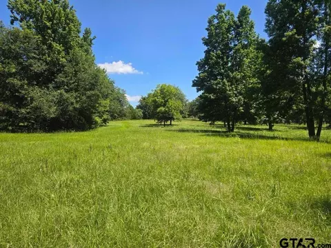 1245 Cr 2332, Mineola, TX 75773