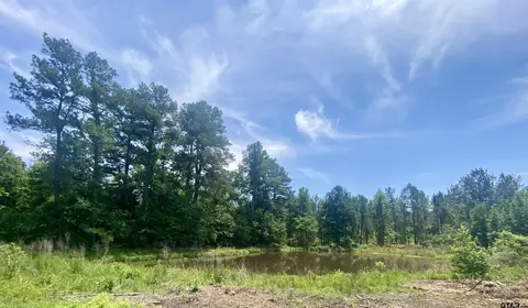 tbd Cr 374 - T4, Gladewater, TX 75647