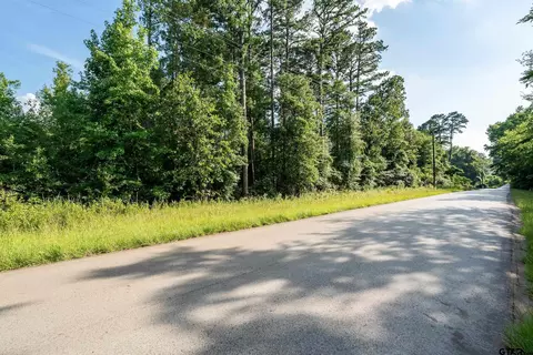 tbd Cr 45, Tyler, TX 75704