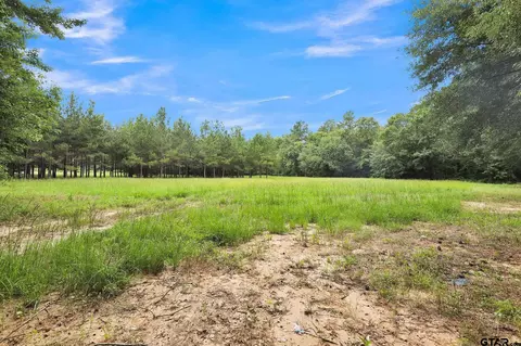 10180 C R 272, Tyler, TX 75707
