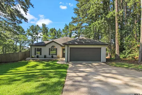 17041 Mary Martin Dr, Flint, TX 75762