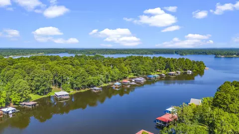 18083 N Lakeview Dr, Troup, TX 75789