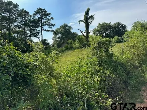 10268 Cr 2167, Whitehouse, TX 75791