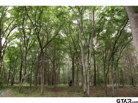 253 Cr 4123, Jacksonville, TX 75766