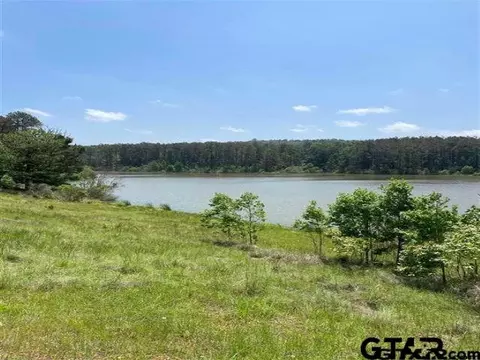 lot12 Acr 450, Montalba, TX 75853
