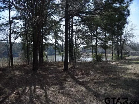 lot13 Acr 450, Montalba, TX 75853