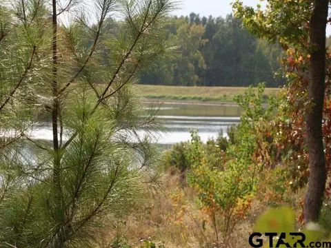 lot17 Acr 453, Montalba, TX 75853