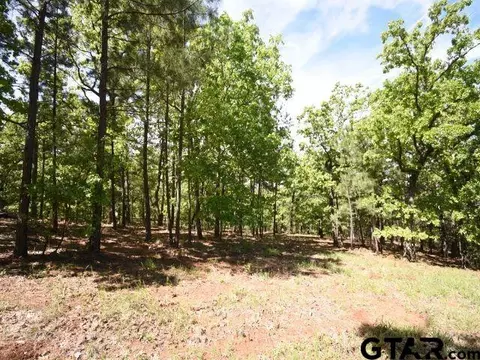 lot22 Acr 453, Montalba, TX 75853