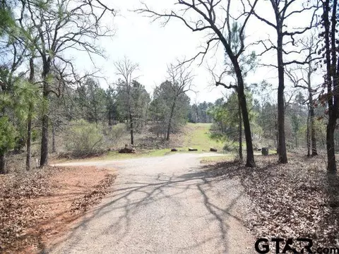 lot24 Acr 453, Montalba, TX 75853