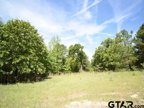lot33 Acr 453, Montalba, TX 75853