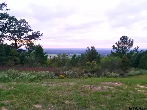 lot31 Acr 453, Montalba, TX 75853