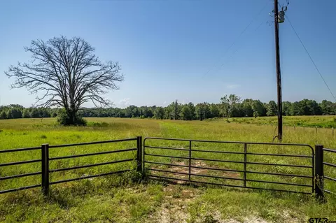 22622 Cr 2166, Troup, TX 75789