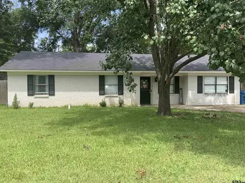 407 Shady Ln, Whitehouse, TX 75791