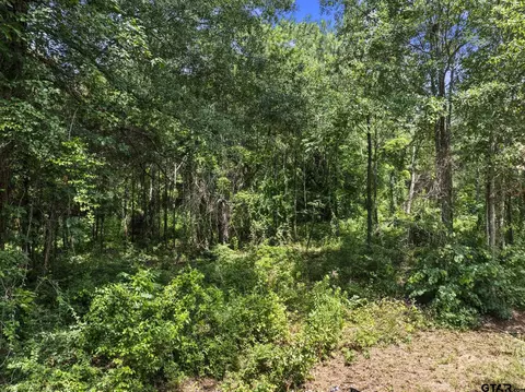 403 N Willis, Daingerfield, TX 75638