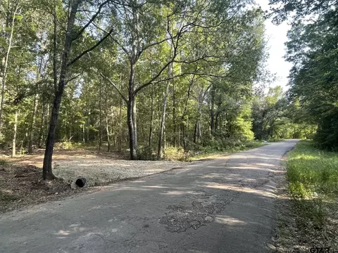 Tract 2 Tbd Cr 4908, Ben Wheeler, TX 75754