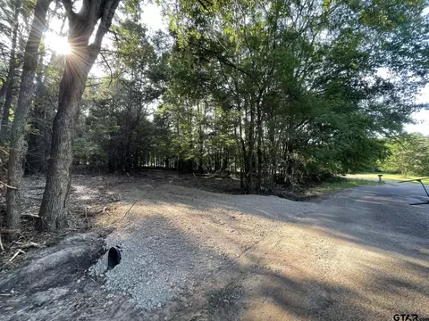 Tract 3 Tbd Vz Cr 4910, Ben Wheeler, TX 75754