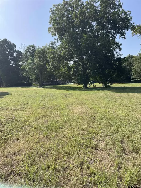 tbd Fm 1519, Leesburg, TX 75451