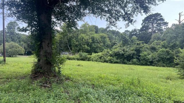 2517 S Thirteenth St, Longview, TX 75602