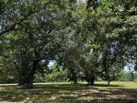 tbd Cr 2950, Alba, TX 75410