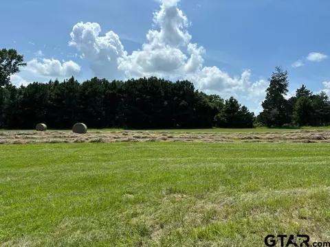 tbd Cr 1325 #LOT 4, Pittsburg, TX 75686