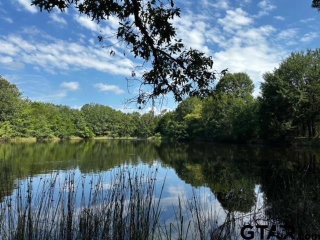 306 Private Road 8507, Van, TX 75790