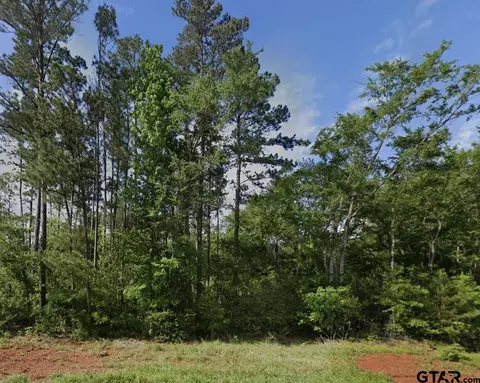 11295 Moser Ln, Whitehouse, TX 75791