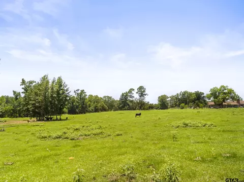 tbd County Road 414, Tyler, TX 75704