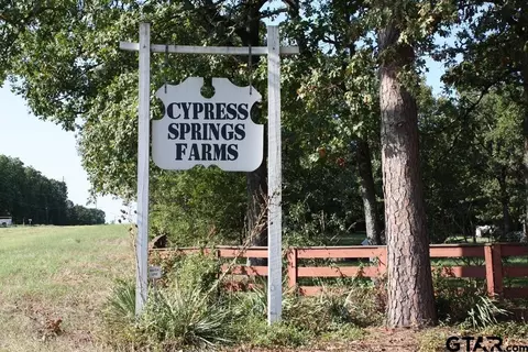 0000 SE Cr 4298, Scroggins, TX 75480