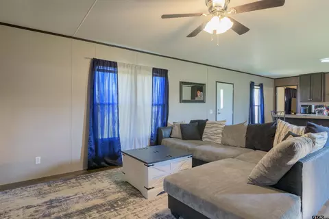 547 Geronimo, Quitman, TX 75783 photo 6