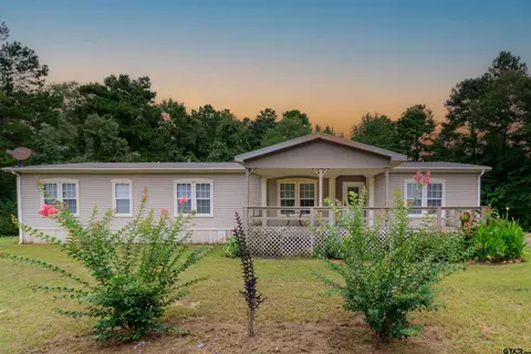 20777 Fm 2208, Harleton, TX 75651
