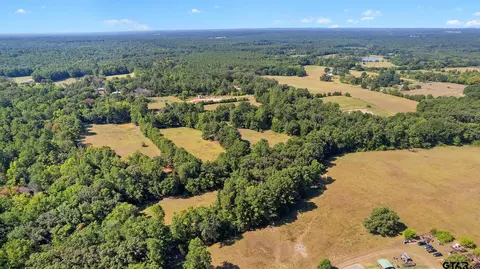 lot1 Tbd Hwy 110, Troup, TX 75789
