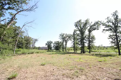 11074 Cr 4162, Tyler, TX 75704