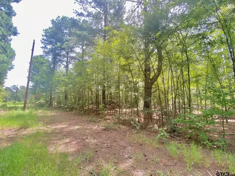 tbd Fm 861, Elkhart, TX 75839