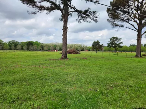 tbd Lot Apt 4 County Road 4202, Chandler, TX 75758