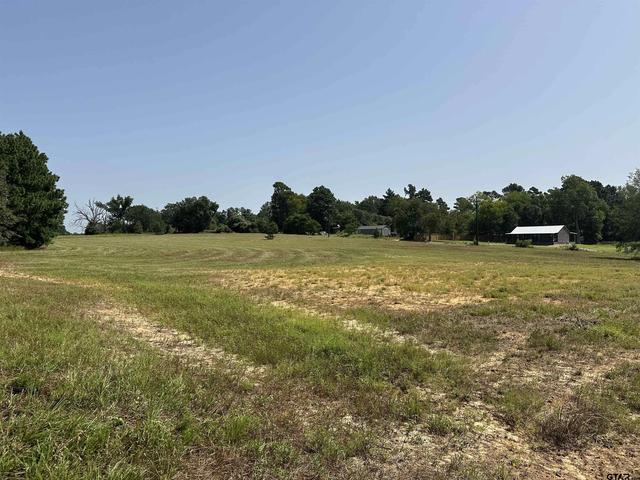 138 Frankston Homes For Sale & Frankston, TX Real Estate - Movoto