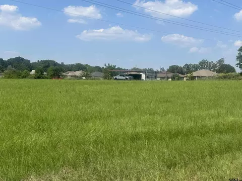 tbd Cr 4160, Pittsburg, TX 75686