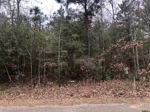 tbd Moose Rd, Winnsboro, TX 75494