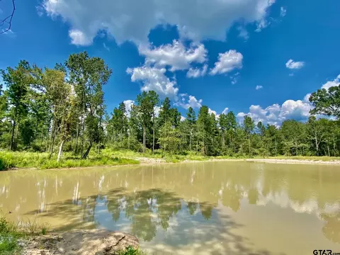 9205 Cr 4020, Lovelady, TX 75851