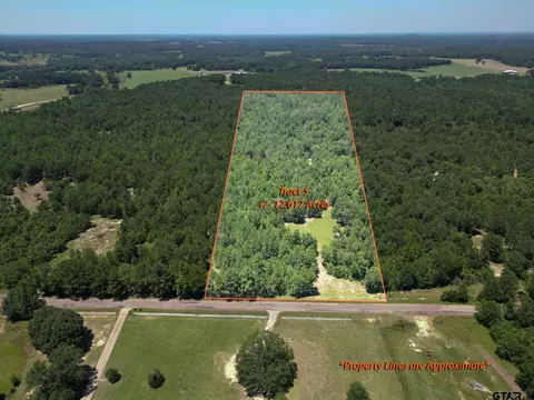tbd Cr 244 Tract 5, Overton, TX 75684