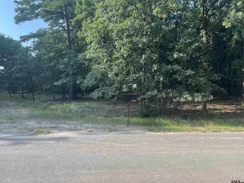 000 Winding Trl, Holly Lake Ranch, TX 75765