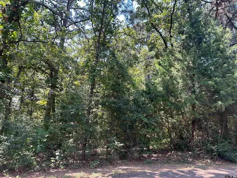17583 Flaming Tree Way, Flint, TX 75762