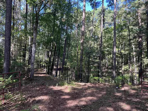 tbd Cr 4221, Laneville, TX 75667
