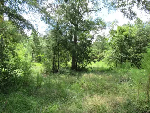 37 53 Ac Off Fm 357, Apple Springs, TX 75926