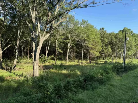 Tract 1 County Road 479, Lindale, TX 75771