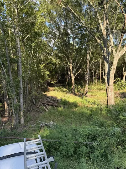 Tract 2 County Road 479, Lindale, TX 75771