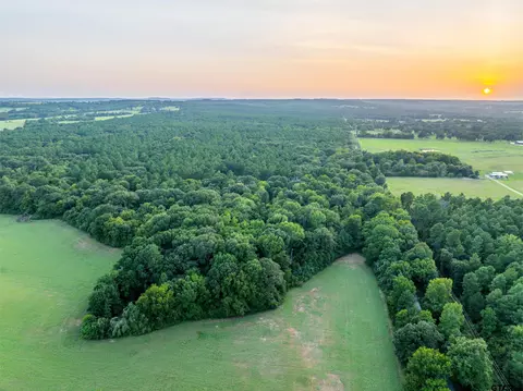 Tract 9 Cr 4222, Frankston, TX 75763