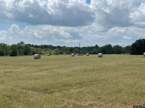 1380 Rs County Road 4480, Point, TX 75472