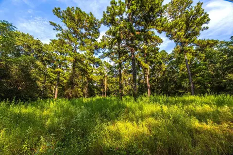 Tract 11 Cr 4222, Frankston, TX 75763